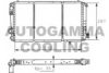 AUTOGAMMA 100173 Radiator, engine cooling